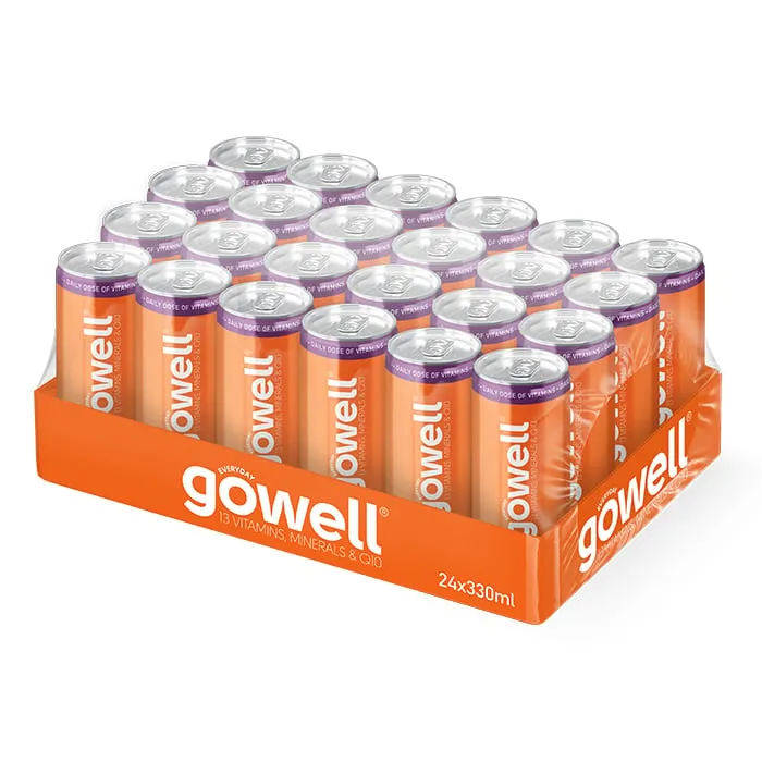 24 x GoWell Funktionsdryck Flak 33 cl