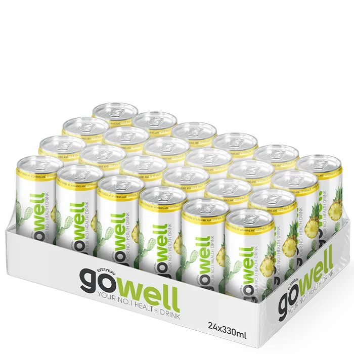 24 x GoWell Funktionsdryck Flak 33 cl