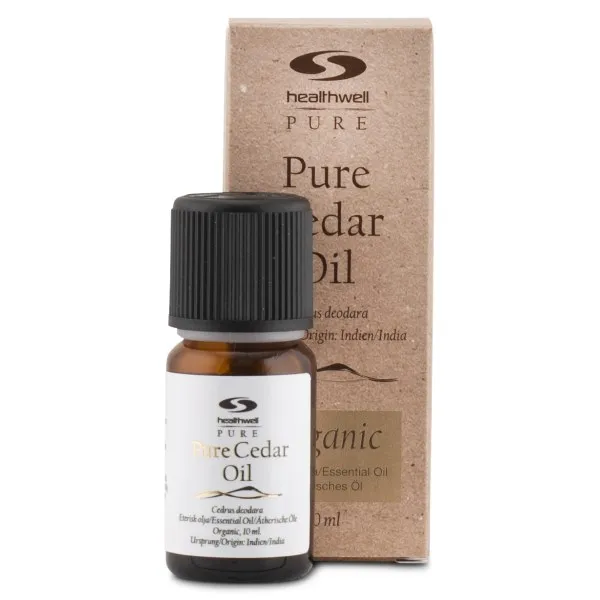 En nyfiken person tar hjälp av sin cederträolja och känner att en egen måste få följa med hem.